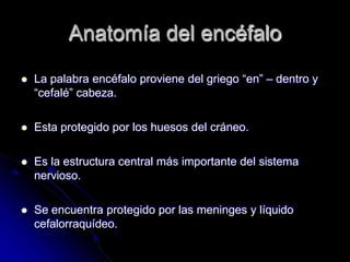 Anatomía del encéfalo
 La palabra encéfalo proviene del griego “en” – dentro y
“cefalé” cabeza.
 Esta protegido por los huesos del cráneo.
 Es la estructura central más importante del sistema
nervioso.
 Se encuentra protegido por las meninges y líquido
cefalorraquídeo.
 