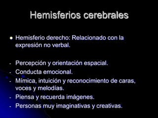 Hemisferios cerebrales
 Hemisferio derecho: Relacionado con la
expresión no verbal.
- Percepción y orientación espacial.
- Conducta emocional.
- Mímica, intuición y reconocimiento de caras,
voces y melodías.
- Piensa y recuerda imágenes.
- Personas muy imaginativas y creativas.
 