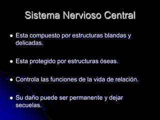 Sistema Nervioso Central
 Esta compuesto por estructuras blandas y
delicadas.
 Esta protegido por estructuras óseas.
 Controla las funciones de la vida de relación.
 Su daño puede ser permanente y dejar
secuelas.
 