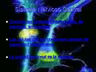 Sistema Nervioso Central
 Controla las funciones intelectuales, de
memoria, emociones.
 Las células que las componen carecen de
capacidad regenerativa.
 La unidad funcional es la neurona.
 