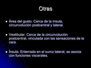 Otras
 Área del gusto. Cerca de la ínsula,
circunvolución postcentral y lateral.
 Vestibular. Cerca de la circunvolución
postcentral, vinculada con las sensaciones de la
cara.
 Ínsula. Enterrada en el surco lateral, se asocia
con funciones viscerales.
 