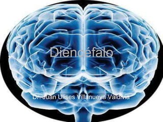 Diencéfalo
Dr. Juan Ulises Villanueva Valdivia
 