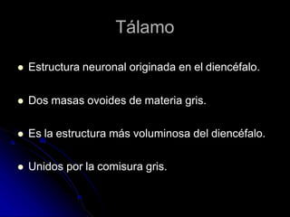 Tálamo
 Estructura neuronal originada en el diencéfalo.
 Dos masas ovoides de materia gris.
 Es la estructura más voluminosa del diencéfalo.
 Unidos por la comisura gris.
 