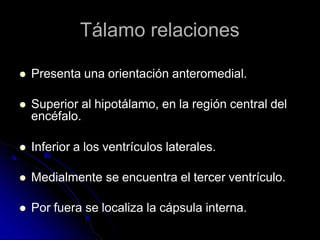 Tálamo relaciones
 Presenta una orientación anteromedial.
 Superior al hipotálamo, en la región central del
encéfalo.
 Inferior a los ventrículos laterales.
 Medialmente se encuentra el tercer ventrículo.
 Por fuera se localiza la cápsula interna.
 