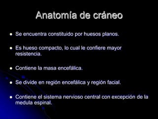 Anatomía de cráneo
 Se encuentra constituido por huesos planos.
 Es hueso compacto, lo cual le confiere mayor
resistencia.
 Contiene la masa encefálica.
 Se divide en región encefálica y región facial.
 Contiene el sistema nervioso central con excepción de la
medula espinal.
 