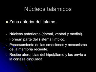 Núcleos talámicos
 Zona anterior del tálamo.
- Núcleos anteriores (dorsal, ventral y medial).
- Forman parte del sistema límbico.
- Procesamiento de las emociones y mecanismo
de la memoria reciente.
- Recibe aferencias del hipotálamo y las envía a
la corteza cingulada.
 