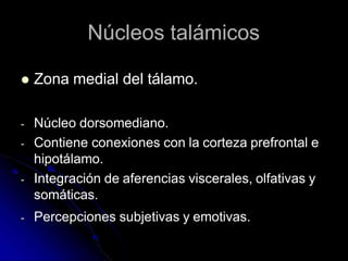 Núcleos talámicos
 Zona medial del tálamo.
- Núcleo dorsomediano.
- Contiene conexiones con la corteza prefrontal e
hipotálamo.
- Integración de aferencias viscerales, olfativas y
somáticas.
- Percepciones subjetivas y emotivas.
 