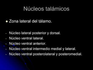 Núcleos talámicos
 Zona lateral del tálamo.
- Núcleo lateral posterior y dorsal.
- Núcleo ventral lateral.
- Núcleo ventral anterior.
- Núcleo ventral intermedio medial y lateral.
- Núcleo ventral posterolateral y posteromedial.
 