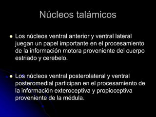 Núcleos talámicos
 Los núcleos ventral anterior y ventral lateral
juegan un papel importante en el procesamiento
de la información motora proveniente del cuerpo
estriado y cerebelo.
 Los núcleos ventral posterolateral y ventral
posteromedial participan en el procesamiento de
la información exteroceptiva y propioceptiva
proveniente de la médula.
 