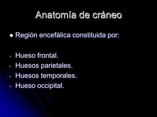 Anatomía de cráneo
 Región encefálica constituida por:
- Hueso frontal.
- Huesos parietales.
- Huesos temporales.
- Hueso occipital.
 