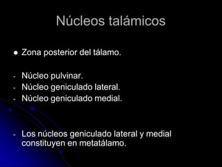 Núcleos talámicos
 Zona posterior del tálamo.
- Núcleo pulvinar.
- Núcleo geniculado lateral.
- Núcleo geniculado medial.
- Los núcleos geniculado lateral y medial
constituyen en metatálamo.
 