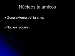 Núcleos talámicos
 Zona externa del tálamo.
- Núcleo reticular.
 
