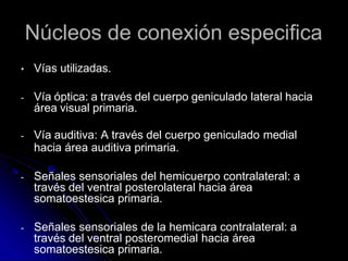 Núcleos de conexión especifica
• Vías utilizadas.
- Vía óptica: a través del cuerpo geniculado lateral hacia
área visual primaria.
- Vía auditiva: A través del cuerpo geniculado medial
hacia área auditiva primaria.
- Señales sensoriales del hemicuerpo contralateral: a
través del ventral posterolateral hacia área
somatoestesica primaria.
- Señales sensoriales de la hemicara contralateral: a
través del ventral posteromedial hacia área
somatoestesica primaria.
 