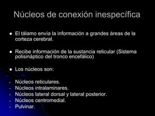 Núcleos de conexión inespecífica
 El tálamo envía la información a grandes áreas de la
corteza cerebral.
 Recibe información de la sustancia reticular (Sistema
polisináptico del tronco encefálico)
 Los núcleos son:
- Núcleos reticulares.
- Núcleos intralaminares.
- Núcleos lateral dorsal y lateral posterior.
- Núcleos centromedial.
- Pulvinar.
 