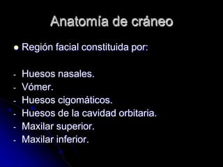 Anatomía de cráneo
 Región facial constituida por:
- Huesos nasales.
- Vómer.
- Huesos cigomáticos.
- Huesos de la cavidad orbitaria.
- Maxilar superior.
- Maxilar inferior.
 