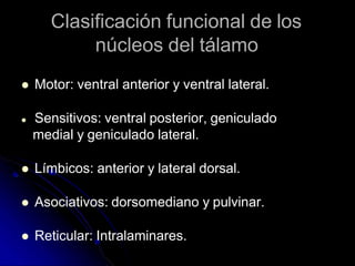Clasificación funcional de los
núcleos del tálamo
 Motor: ventral anterior y ventral lateral.
 Sensitivos: ventral posterior, geniculado
medial y geniculado lateral.
 Límbicos: anterior y lateral dorsal.
 Asociativos: dorsomediano y pulvinar.
 Reticular: Intralaminares.
 