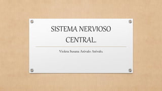 SISTEMA NERVIOSO
CENTRAL.
Violeta Susana Arévalo Arévalo.
 