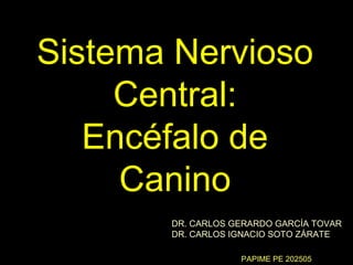 Sistema Nervioso
     Central:
   Encéfalo de
     Canino
       DR. CARLOS GERARDO GARCÍA TOVAR
       DR. CARLOS IGNACIO SOTO ZÁRATE

                   PAPIME PE 202505
 