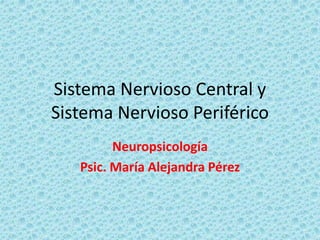 Sistema Nervioso Central y
Sistema Nervioso Periférico
Neuropsicología
Psic. María Alejandra Pérez
 