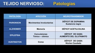 TEJIDO NERVIOSO: Patologías
PATOLOGÍA AFECCIÓN NEUROTRANSMISOR
PARKINSON Movimentos Involuntarios
DÉFICIT DE DOPAMINA
Sustancia negra
ALZHEIMER Memoria DÉFICIT ACETILCOLINA
EPILEPSIA
Convulsiones
Tónico – clónica
DÉFICIT DE GABA
AUMENTO DEL GLUTAMATO
HUNTINGTON Corea
DÉFICIT DE GABA
Núcleo Caudado
 