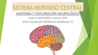 SISTEMA NERVIOSO CENTRAL
ANATOMÍA Y EXPLORACIÓN NEUROLÓGICA
UMAE 25 MONTERREY, NUEVO LEÓN
KEVIN GUADALUPE RODRÍGUEZ RODRÍGUEZ R3
 