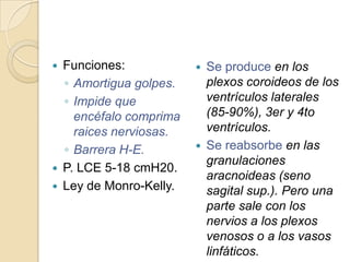  Funciones:
◦ Amortigua golpes.
◦ Impide que
encéfalo comprima
raices nerviosas.
◦ Barrera H-E.
 P. LCE 5-18 cmH20.
 Ley de Monro-Kelly.
 Se produce en los
plexos coroideos de los
ventrículos laterales
(85-90%), 3er y 4to
ventrículos.
 Se reabsorbe en las
granulaciones
aracnoideas (seno
sagital sup.). Pero una
parte sale con los
nervios a los plexos
venosos o a los vasos
linfáticos.
 
