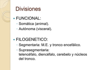 Divisiones
 FUNCIONAL:
◦ Somática (animal).
◦ Autónoma (visceral).
 FILOGENETICO:
◦ Segmentaria: M.E. y tronco encefálico.
◦ Suprasegmentaria:
telencéfalo, diencéfalo, cerebelo y núcleos
del tronco.
 