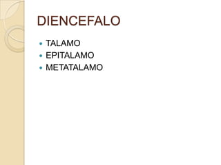 DIENCEFALO
 TALAMO
 EPITALAMO
 METATALAMO
 
