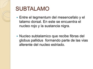 SUBTALAMO
 Entre el tegmentum del mesencefalo y el
talamo dorsal. En este se encuentra el
nucleo rojo y la sustancia nigra.
 Nucleo subtalamico que recibe fibras del
globus pallidus formando parte de las vias
aferente del nucleo estriado.
 