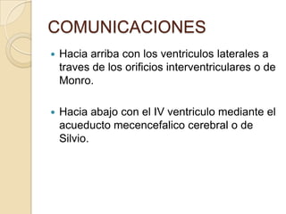 COMUNICACIONES
 Hacia arriba con los ventriculos laterales a
traves de los orificios interventriculares o de
Monro.
 Hacia abajo con el IV ventriculo mediante el
acueducto mecencefalico cerebral o de
Silvio.
 
