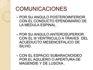 COMUNICACIONES
 POR SU ANGULO POSTEROINFERIOR
CON EL CONDUCTO EPENDIMARIO DE
LA MEDULA ESPINAL.
 POR SU ANGULO ANTEROSUPERIOR
CON EL III VENTRICULO A TRAVES DEL
ACUEDUCTO MESENCEFALICO DE
SILVIO.
 CON EL ESPACIO SUBARACNOIDEO
POR EL AGUJERO O APERTURA DE
MAGENDIE Y DE LUSCKA .
 
