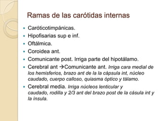 Ramas de las carótidas internas
 Caróticotimpánicas.
 Hipofisarias sup e inf.
 Oftálmica.
 Coroidea ant.
 Comunicante post. Irriga parte del hipotálamo.
 Cerebral ant Comunicante ant. Irriga cara medial de
los hemisferios, brazo ant de la la cápsula int, núcleo
caudado, cuerpo calloso, quiasma óptico y tálamo.
 Cerebral media. Irriga núcleos lenticular y
caudado, rodilla y 2/3 ant del brazo post de la cásula int y
la ínsula.
 