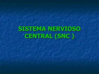 SISTEMA NERVIOSO CENTRAL (SNC ) 