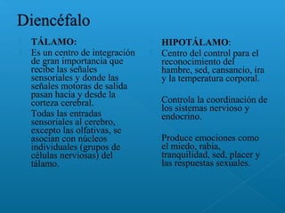  TÁLAMO:
 Es un centro de integración
de gran importancia que
recibe las señales
sensoriales y donde las
señales motoras de salida
pasan hacia y desde la
corteza cerebral.
 Todas las entradas
sensoriales al cerebro,
excepto las olfativas, se
asocian con núcleos
individuales (grupos de
células nerviosas) del
tálamo.
 HIPOTÁLAMO:
 Centro del control para el
reconocimiento del
hambre, sed, cansancio, ira
y la temperatura corporal.
 Controla la coordinación de
los sistemas nervioso y
endocrino.
 Produce emociones como
el miedo, rabia,
tranquilidad, sed, placer y
las respuestas sexuales.
 