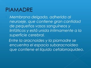  Membrana delgada, adherida al
neuroeje, que contiene gran cantidad
de pequeños vasos sanguíneos y
linfáticos y está unida íntimamente a la
superficie cerebral.
Entre la aracnoides y la piamadre se
encuentra el espacio subaracnoideo
que contiene el líquido cefalorraquídeo.
 