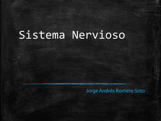 Sistema Nervioso
Jorge Andrés Romero Soto
 