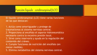 Función líquido cerebroespinal(LCE)
El líquido cerebroespinal (LCE) tiene varias funciones
de las que destacan:
1. Actúa como amortiguador y protege de
traumatismos al sistema nervioso central.
2. Proporciona al encéfalo el soporte hidroneumático
necesario contra la excesiva presión local.
3. Sirve como reservorio y ayuda en la regulación del
contenido del cráneo.
4. Cumple funciones de nutrición del encéfalo (en
menor medida).
5. Elimina metabolitos del sistema nervioso central.
 