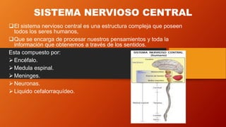 SISTEMA NERVIOSO CENTRAL
El sistema nervioso central es una estructura compleja que poseen
todos los seres humanos,
Que se encarga de procesar nuestros pensamientos y toda la
información que obtenemos a través de los sentidos.
Esta compuesto por:
Encéfalo.
Medula espinal.
Meninges.
Neuronas.
Liquido cefalorraquídeo.
 