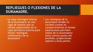 REPLIEGUES O FLEXIONES DE LA
DURAMADRE.
• La capa meníngea interna
de la duramadre: es una
capa de soporte que se
refleja separándose de la
capa periostica externa para
formar repliegues
(reflexiones) de la
duramadre
• Los repliegues de la
duramadre dividen la
cavidad craneal en
compartimientos al formar
separaciones parciales
(septo de la duramadre)
entre ciertas partes del
encéfalo, proporcionan
soporte a otras partes.
 