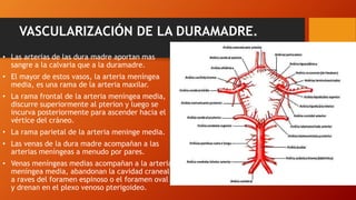 VASCULARIZACIÓN DE LA DURAMADRE.
• Las arterias de las dura madre aportan mas
sangre a la calvaria que a la duramadre.
• El mayor de estos vasos, la arteria meníngea
media, es una rama de la arteria maxilar.
• La rama frontal de la arteria meníngea media,
discurre superiormente al pterion y luego se
incurva posteriormente para ascender hacia el
vértice del cráneo.
• La rama parietal de la arteria meninge media.
• Las venas de la dura madre acompañan a las
arterias meníngeas a menudo por pares.
• Venas meníngeas medias acompañan a la arteria
meníngea media, abandonan la cavidad craneal
a raves del foramen espinoso o el foramen oval
y drenan en el plexo venoso pterigoideo.
 
