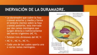 INERVACIÓN DE LA DURAMADRE.
• La duramadre que cubre la fosa
craneal anterior y media y forma
el tentorio (techo) sobre la fosa
craneal posterior, esta inervada
por dos ramos meníngeos que
surgen directa o indirectamente
del nervio trigémino (NC V).
• Existen tres divisiones del NC V:
• NC V₁, NC V₂, NC V₃.
• Cada una de las cuales aporta una
o varios ramos meníngeos.
 
