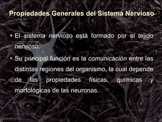 Propiedades Generales del Sistema Nervioso
• El sistema nervioso está formado por el tejido
nervioso.
• Su principal función es la comunicación entre las
distintas regiones del organismo, la cual depende
de las propiedades físicas, químicas y
morfológicas de las neuronas.
 