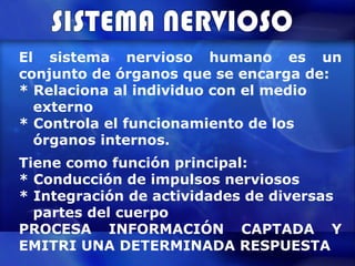 El sistema nervioso humano es un conjunto de órganos que se encarga de: * Relaciona al individuo con el medio  externo * Controla el funcionamiento de los  órganos internos. SISTEMA NERVIOSO Tiene como función principal: * Conducción de impulsos nerviosos * Integración de actividades de diversas  partes del cuerpo PROCESA INFORMACIÓN CAPTADA Y EMITRI UNA DETERMINADA RESPUESTA 
