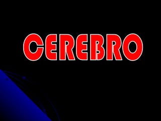 CEREBRO 