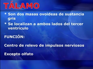 * Son dos masas ovoideas de sustancia  gris * Se localizan a ambos lados del tercer  ventrículo FUNCIÓN: Centro de relevo de impulsos nerviosos Excepto olfato 