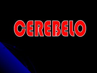 CEREBELO 