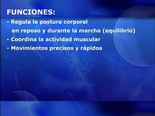 FUNCIONES: - Regula la postura corporal en reposo y durante la marcha (equilibrio) - Coordina la actividad muscular - Movimientos precisos y rápidos 