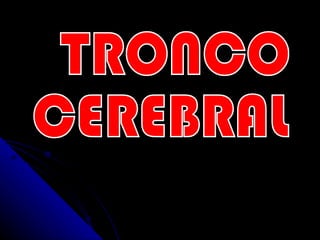 TRONCO  CEREBRAL 