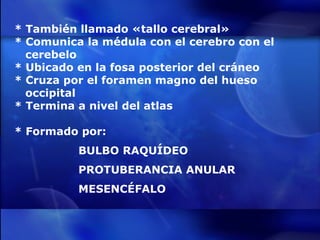 * También llamado «tallo cerebral» * Comunica la médula con el cerebro con el  cerebelo * Ubicado en la fosa posterior del cráneo * Cruza por el foramen magno del hueso  occipital * Termina a nivel del atlas * Formado por: BULBO RAQUÍDEO PROTUBERANCIA ANULAR MESENCÉFALO 