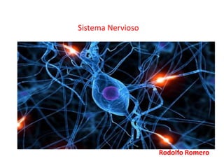 Sistema Nervioso
Rodolfo Romero
 